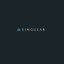 Global Singular